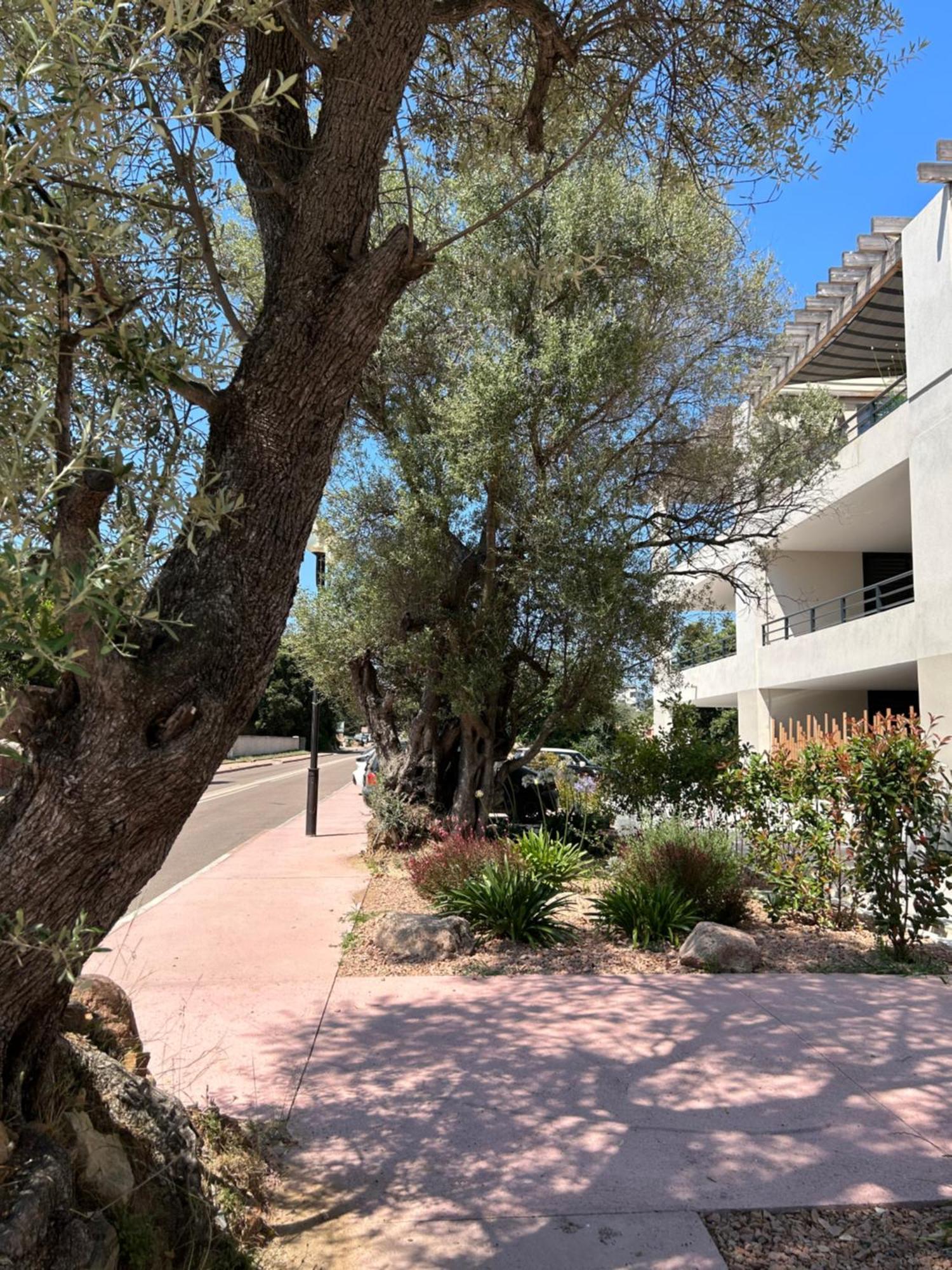 Sognu Di Serena - Superbe Appartement Avec Parking Gratuit Sur Place ポルトヴェッキオ エクステリア 写真